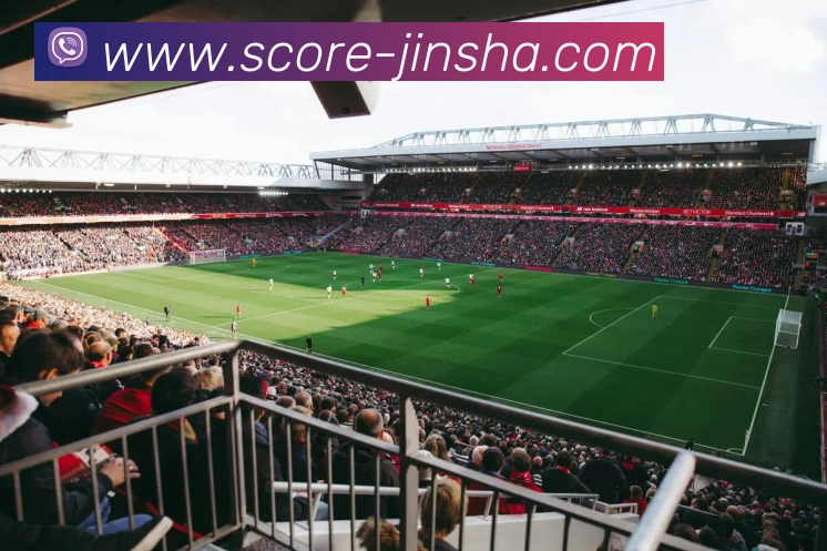 澳门金沙官网平台生态图